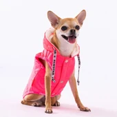 Pawstar Neon Fuchsia Railway Vest Köpek Montu Medium 24x26x41 cm - 4