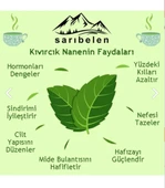 sarıbelen Kıvırcık Nane Çayı Spearmint Tea 45 g 30 Süzen Poşet - 2