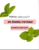 sarıbelen Kıvırcık Nane Çayı Spearmint Tea 45 g 30 Süzen Poşet - 5