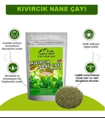 sarıbelen Kıvırcık Nane Çayı Spearmint Tea 45 g 30 Süzen Poşet - 4