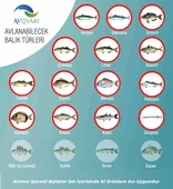 Highcarbon 300 Cm Blue Bl-5000   Tatlı Su- Tuzlu su  Tam Takım Lüx Usta Profesyonel Hobi Deniz ve Göl Olta Seti thumbnail 6