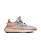 Adidas Yeezy Boost 350 V2 True Form thumbnail 1