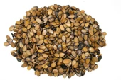 Diyarından Mardin Karpuz Çekirdeği 1 kg - 1