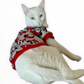 Red Mickey İnce Kedi Ceketi Kedi Kıyafeti Kedi Elbisesi Kedi Modası thumbnail 4