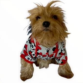 Mickey Red İnce Köpek Ceketi,Kıyafeti,Elbisesi - 2