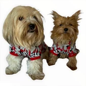 Mickey Red İnce Köpek Ceketi,Kıyafeti,Elbisesi - 6