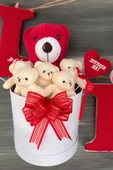 SOLE Premium Özel Kutusunda Kırmızı Ayıcık ve  Ekru Peluş Ayıcık Buketi, Sevgiliye, Doğum Gününe Hediye thumbnail 6