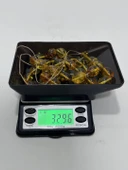 Doğal Kaya Damla Kehribar Tesbih 33lük 32,95 Gram - 6
