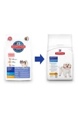 Hills Small & Mini Mature Adult 7+ Tavuklu Yaşlı Köpek Maması 1,5 Kg - 1