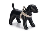 Beeztees Köpek Göğüs Tasması, Neopren, Mavi, S, 38-44cm - 1