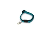 Beeztees Yavru Kedi Boyun Tasması, Zilli, Yeşil, 15-22cm - 1