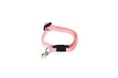 Beeztees Yavru Kedi Boyun Tasması, Zilli, Pembe, 15-22cm thumbnail 1