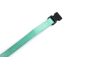 Beeztees Yavru Köpek Boyun Tasması, Çeşitli Renklerde, 17-25cm, 10mm thumbnail 8