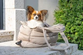 Beeztees DBL Köpek Taşıma Çantası, Yıkanabilir, 6,5Kg'ye kadar, Bej, 42x20x35cm thumbnail 5