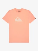 Quiksilver EQYZT08072-MEF0 Ev Comp Logo Ss Erkek Spor Tişört - 1