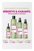 Urban Care Şampuan Biberiye ve Karanfil 350 Ml Canlandırıcı ve Güçlendirici - 8