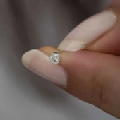 Gümüş Karışık Model 20' li Hızma thumbnail 3