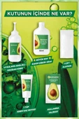 Garnier Nutrisse 8N Bal Köpüğü Yoğun Besleyici Kalıcı Krem Saç Boyası - 6