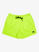 Quiksilver EQYJV04120-YHJ0 Everyday Solid Volley 15 Erkek Şort Mayo thumbnail 7