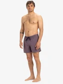 Quiksilver EQYJV04120-PQC0 Everyday Solid Volley 15 Erkek Şort Mayo thumbnail 4