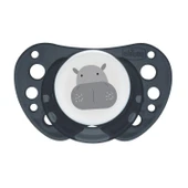 Chicco PhysioForma Air 2'li Silikon Emzik 16-36 Ay thumbnail 4