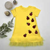 Lenaca 1-2-3 Yaş Uğur Böceği Nakışlı Fırfır Uçlu Kız Çocuk Jile Elbisesi thumbnail 1