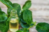 Defne Yaprağı Yağı %100 Saf ve Doğal 10 ml - 4