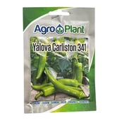 Agroplant Yalova Çarliston 341 Biber Tohumu 25Gr - 1