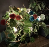 Brokoli Home Ponpon Berry Light Dekoratif Led Işık Zinciri Renkli Ponponlar - 4