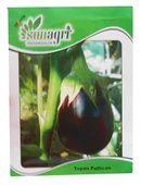 Sunagri Patlıcan Topan Tohumu 10Gr Paket - 1