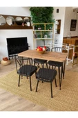 OlcayAksesuar Metal Ayaklı 4 Adet Sandalyeli 120x59 Cm Mutfak Masası Çalışma Masası - 2