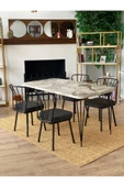 OlcayAksesuar Metal Ayaklı 4 Adet Sandalyeli 150x80 Cm Mutfak Masası Çalışma Masası - 2