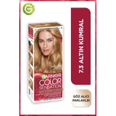 Garnier Çarpıcı Renkler 7.3 Altın Kumral Saç Boyası - 1