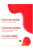 SHEGLAM For The Flush Lıp & Cheek Tınt, Cherry,uzun Süre Kalıcı Çok Amaçlı Tint - 5