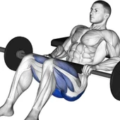 Cwa-2316 Olimpik Hip Thrust Süngeri Pedi Kalın 40x15 Cm - 3
