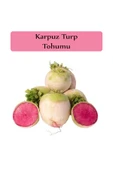 Turp Tohumu 1 Paket Karpuz Turp Tohumu Kapalı Paket Yüksek Verimli Tohum thumbnail 1