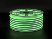 25 Metre YL42 5005 Dış Mekan 120 Çipli 12V Neon Led Yeşil thumbnail 1