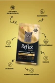 Reflex Plus British Shorthair Tavuklu Ve Kızılcıklı Yavru Kedi Maması 1.5 Kg thumbnail 2