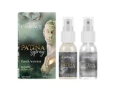 PATİNA SPREY SET 1 ( AÇIK YEŞİL ) 50ML+50ML - 1