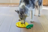 Beeztees Yavru Köpek Yaş Mama Yeme Oyuncağı, Ananas Şeklinde,Silikon, Sarı, 20x20cm thumbnail 3