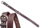 Deri Köpek Boyun Tasması 59X3Cm H010-1-M - 1