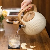 Valkyrie Modern Tasarım Düdüklü Kettle 3L Paslanmaz Çelik Ergonomik Su Isıtıcı Çaydanlık Islıklı - 2