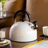Valkyrie 3L Paslanmaz Çelik Düdüklü Kettle Su Isıtıcısı Çaydanlık Islıklı Demlik - 4
