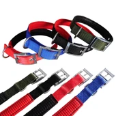 Köpek Boyun Tasması Hrb-026 - 1