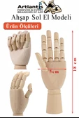 Ahşap Sol El Modeli 18 cm 1 Adet Sol El Maketi Çoçuk Ahşap Manken Sol El Parmak Model Hareketli Esnek Eskiz Çizim Boyama - 2