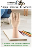 Ahşap Sol El Modeli 30 cm 1 Adet Sol El Maketi Erkek Ahşap Manken Sol El Parmak Model Hareketli Esnek Eskiz Çizim Boyama - 6