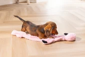 Beeztees Yavru Köpek Oyuncağı, Flamingo, Peluş, Pembe, 72x27x5cm - 2