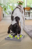 Beeztees Köpek Zeka Geliştirme Oyuncağı, 28x28x4,5cm thumbnail 6