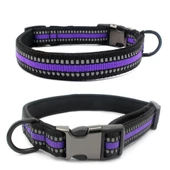 Reflektörlü Küçük Irk Köpek Boyun Tasması Small 2 cm / 27-40 cm - 2