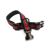 Reflektörlü Küçük Irk Köpek Boyun Tasması Small 2 cm / 27-40 cm - 4
